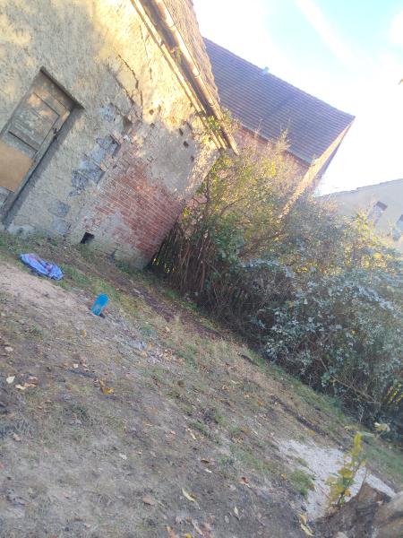 1000004846df27c47a11111839581